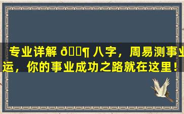 专业详解 🐶 八字，周易测事业运，你的事业成功之路就在这里！
